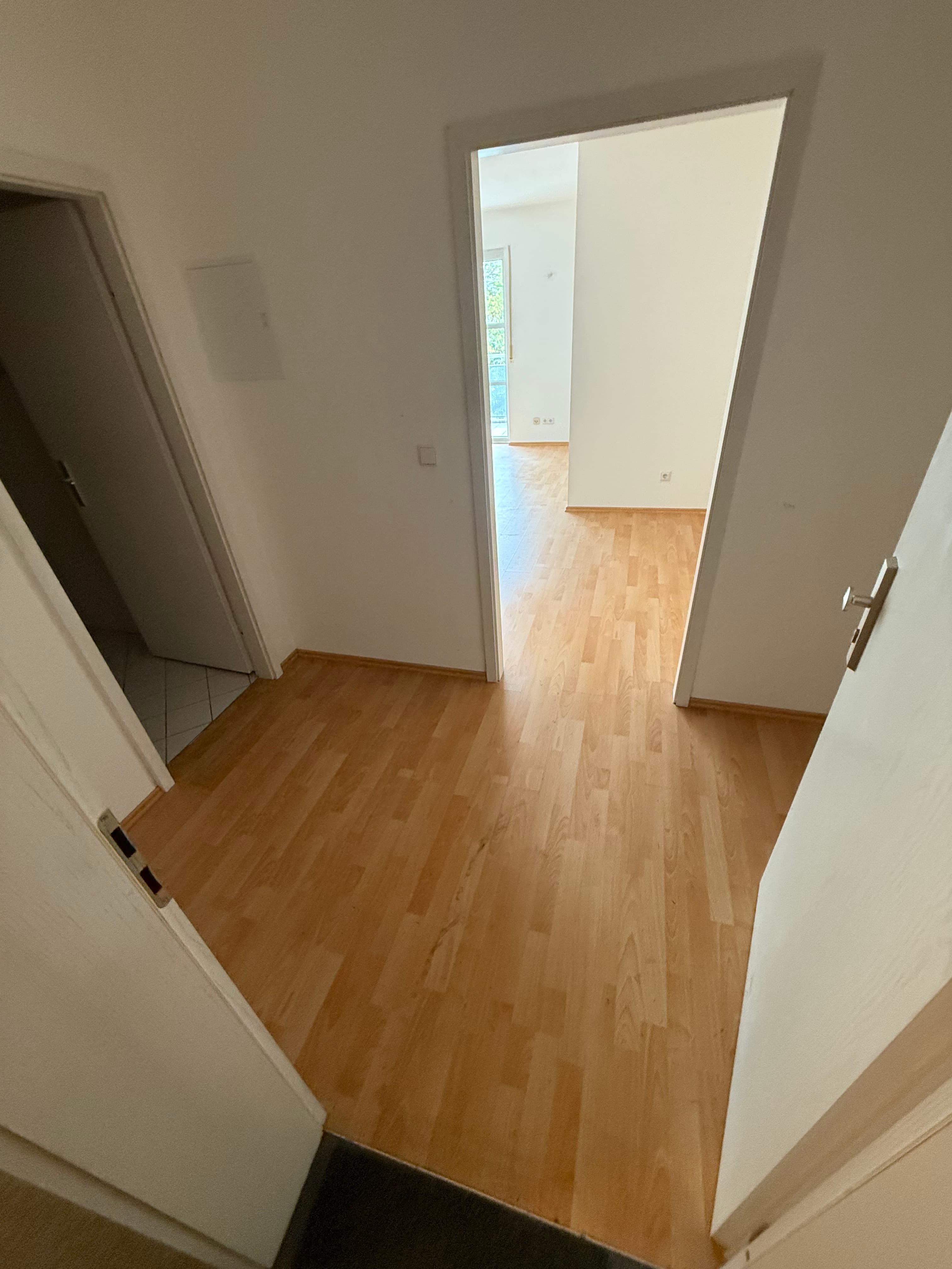 Wohnungsräumung Landshut – img 6933